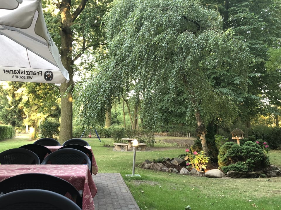 Gartenanlage Hotel Luther Birke Wittenberg