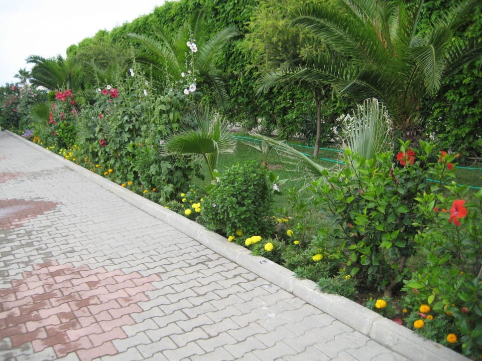 Дорожка к морю Timo Deluxe Resort