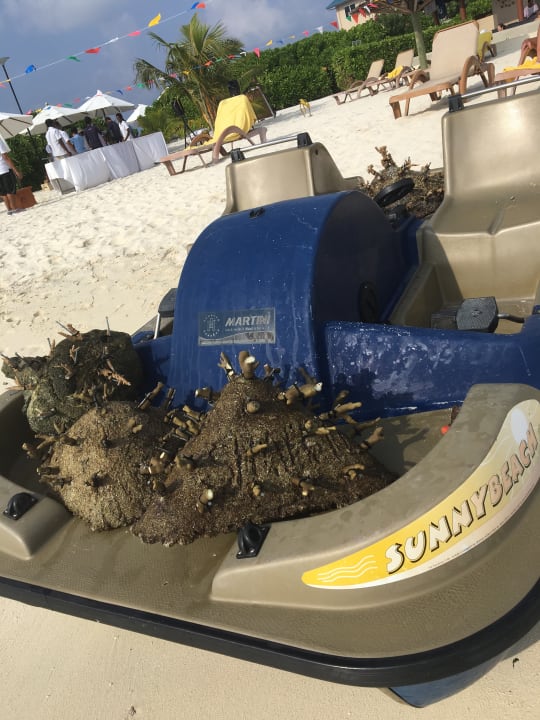 Sonstiges Centara Ras Fushi Resort & Spa Maldives