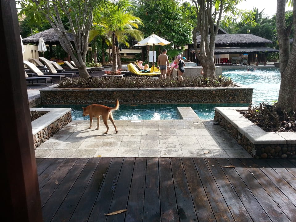 Pool Centara Koh Chang Tropicana Resort