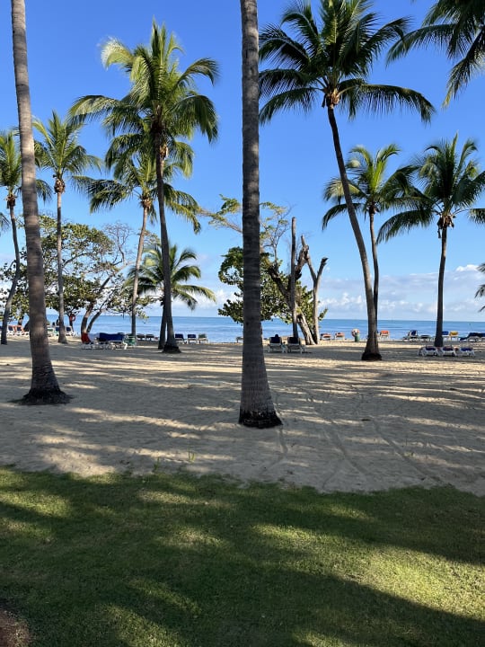 Strand Playabachata Hotel