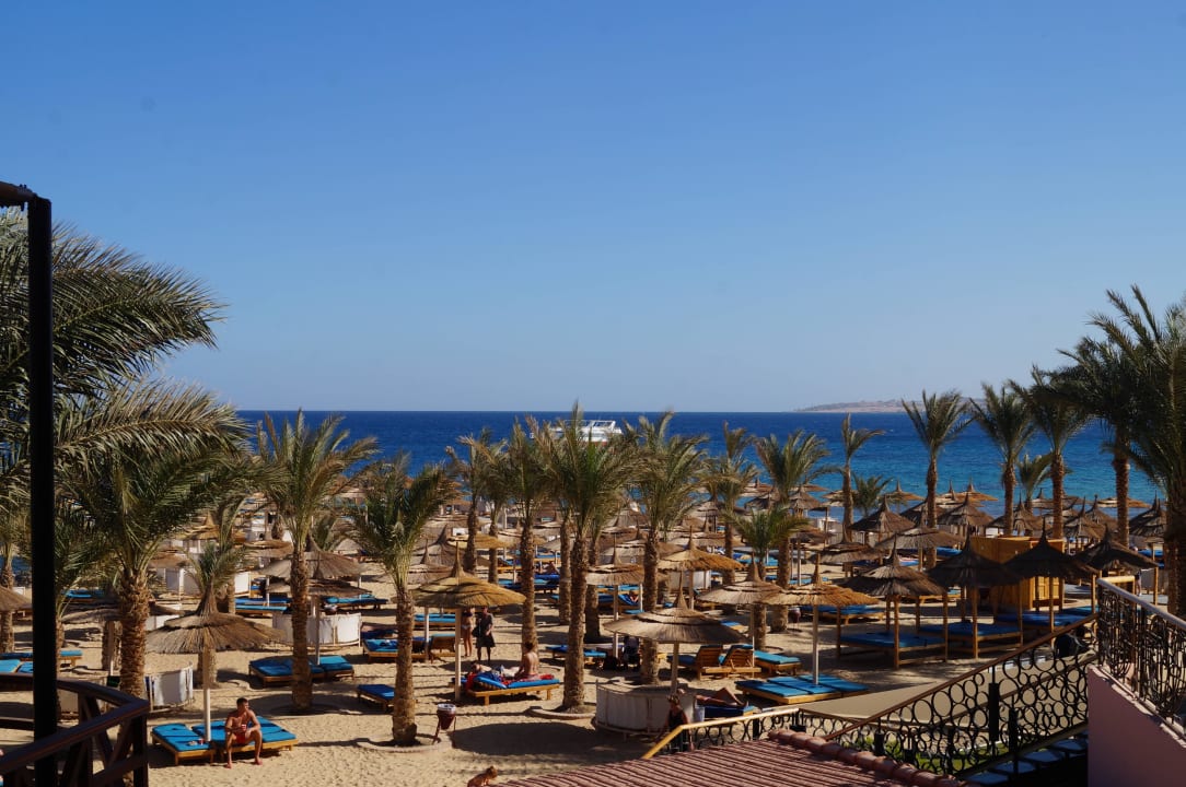 Blick auf das Meer Beach Albatros Resort