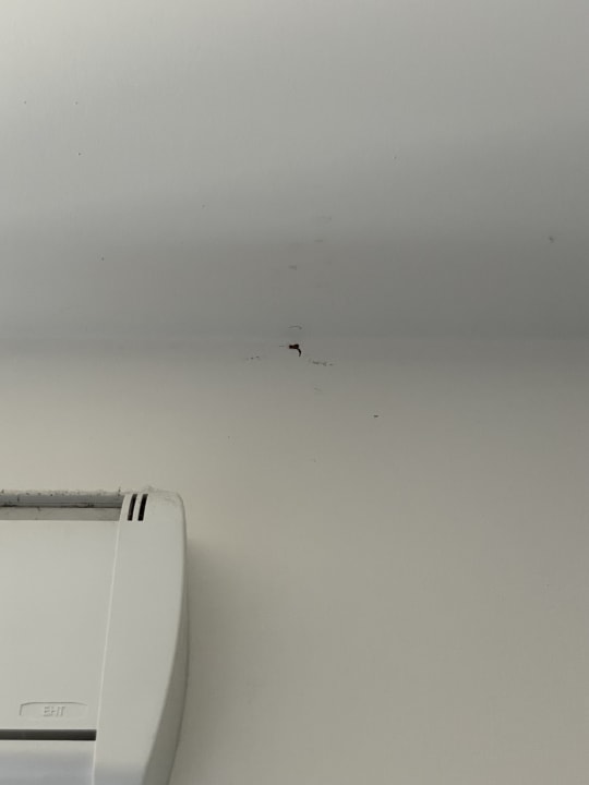 Zimmer Nemea Appart Hotel Elypseo Strasbourg Port