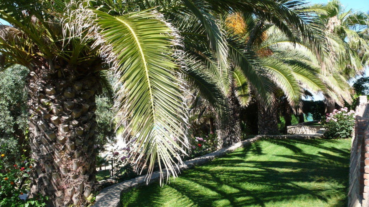 im Garten Arum Barut Collection
