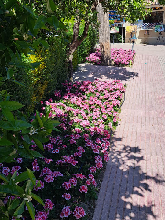 Gartenanlage Can Garden Beach