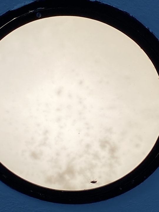 Sonstiges Vitalhotel König am Park