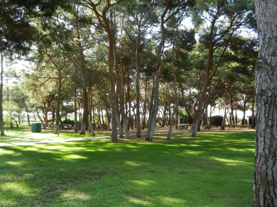 Xanadu  Xanadu Resort Hotel