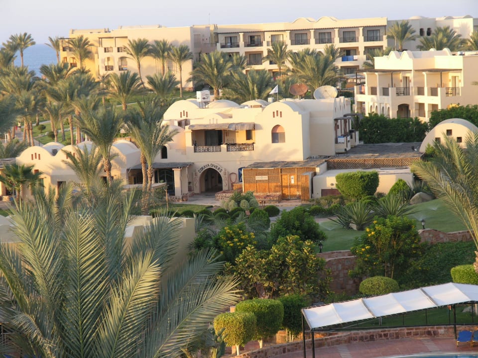 Coraya Divers vom Turm aus Jaz Solaya