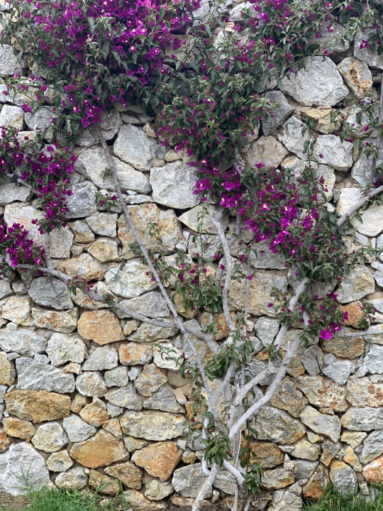 Gartenanlage Atlantica Belvedere Resort