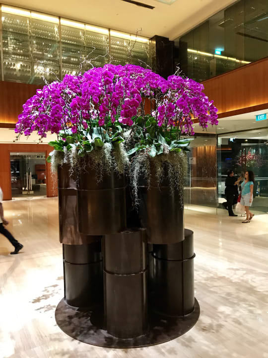 Lobby Grand Hyatt Singapore