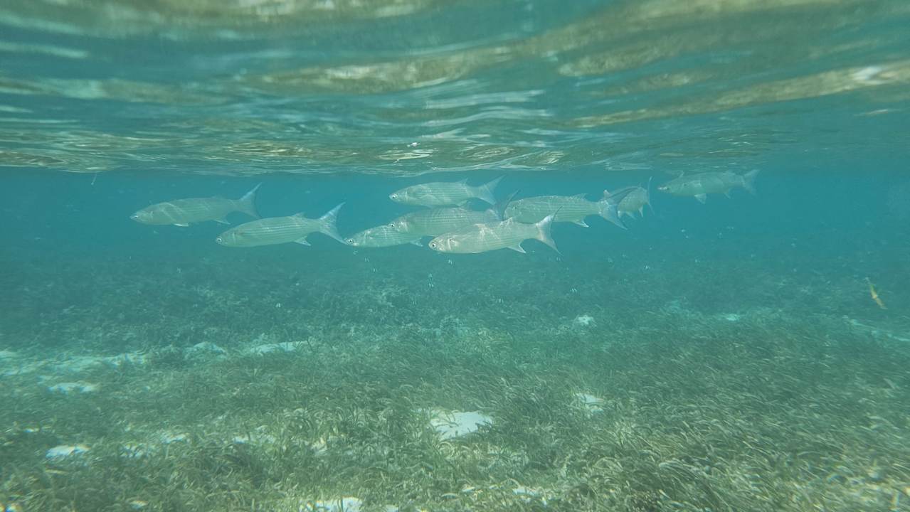 Strand Adaaran Select Hudhuran Fushi - Premium All Inclusive