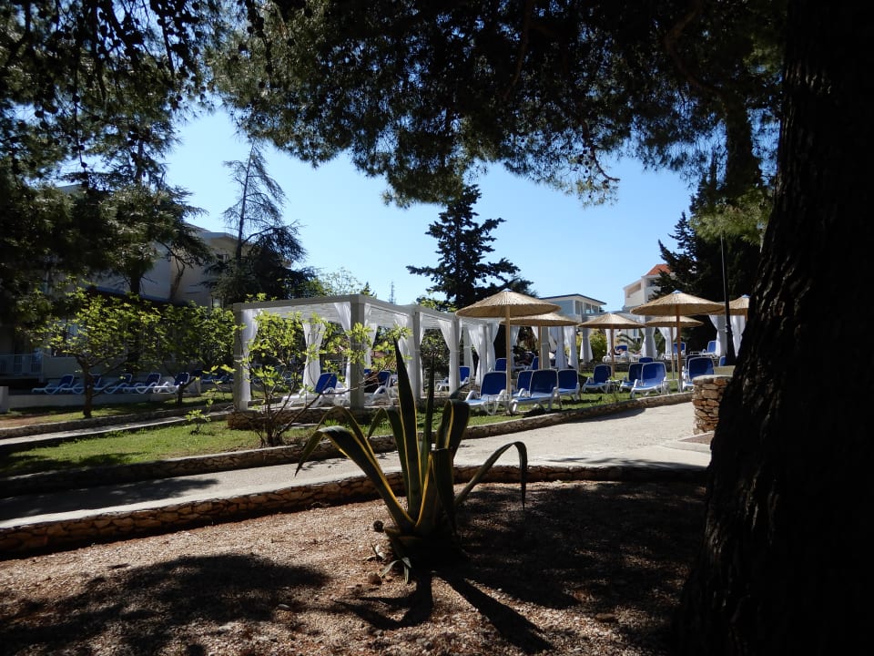 Gartenanlage Waterman Svpetrvs  Resort