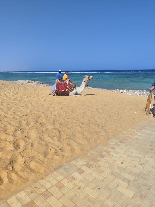 Strand Lazuli Hotel Marsa Alam