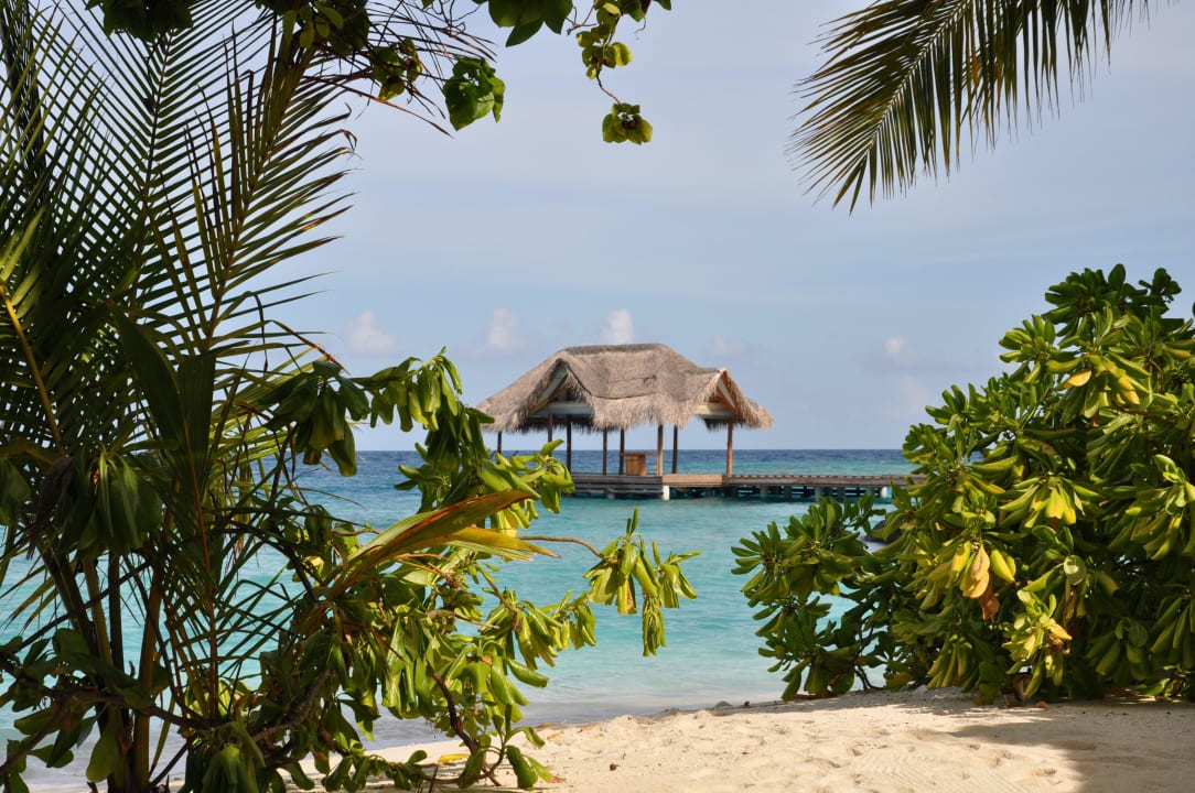 Steg, an dem man ankommt Kuramathi Maldives