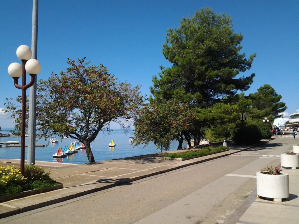 Promenade zum Bummeln Hotel Albatros Plava Laguna