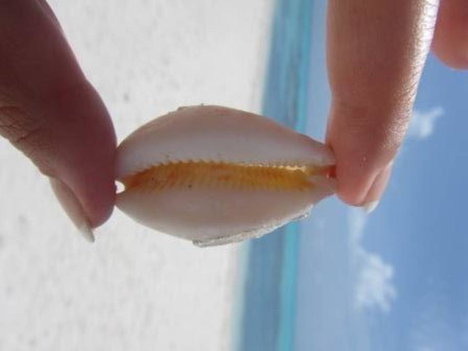 Meeru Meeru Maldives Resort Island