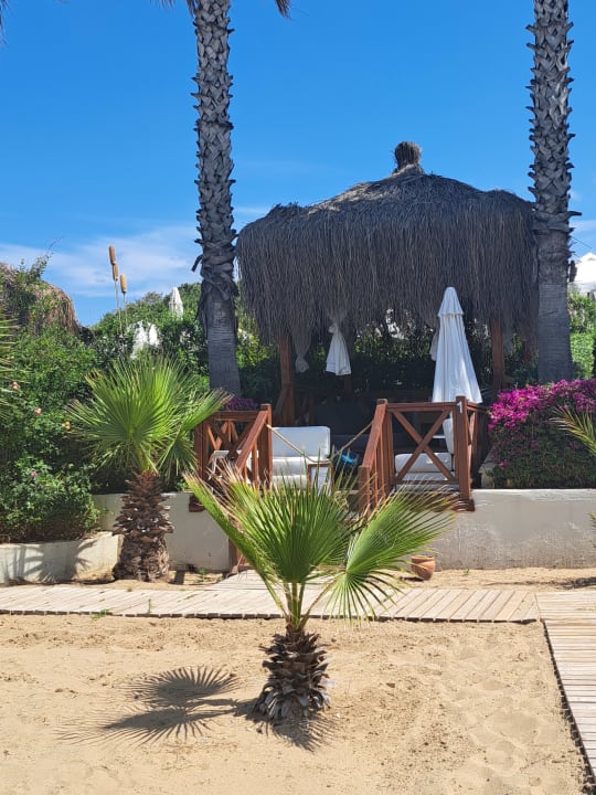 Strand Paloma Oceana
