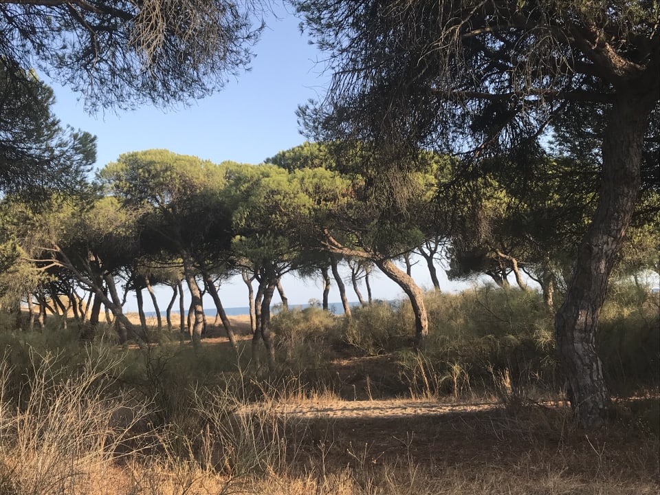 Strand TUI BLUE Isla Cristina Palace