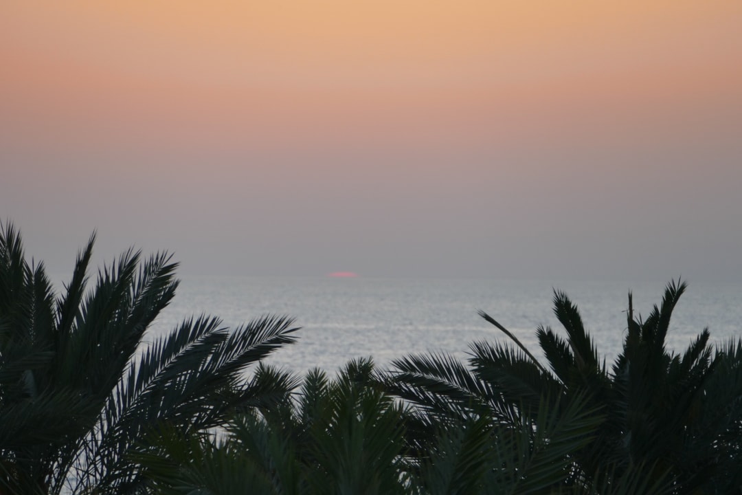 Ausblick Rixos Bab Al Bahr
