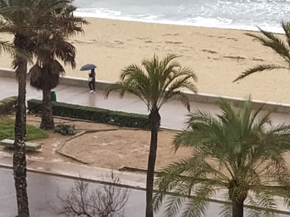 Ausblick allsun Hotel Pil-lari Playa