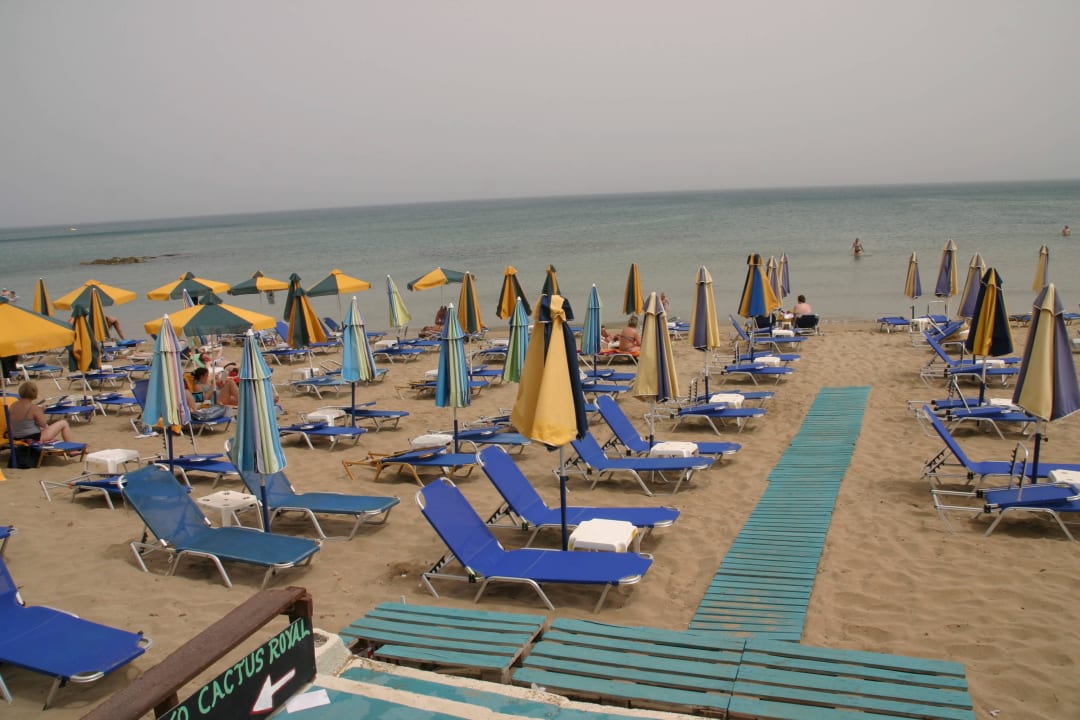 Strand vo rdem Hotel Cactus Royal