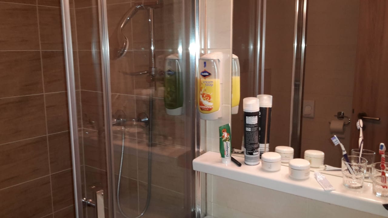 Das Bad Hotel Tři růže