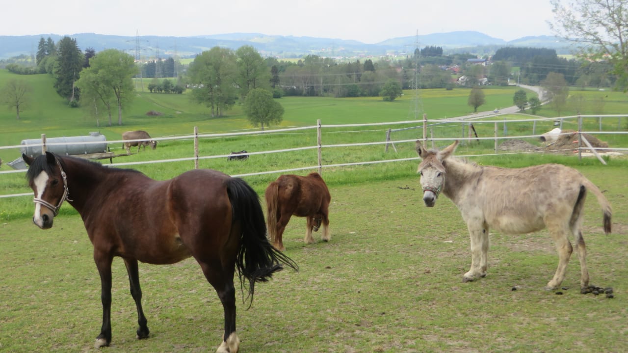 Sonstiges Ferienhof Barensteiner