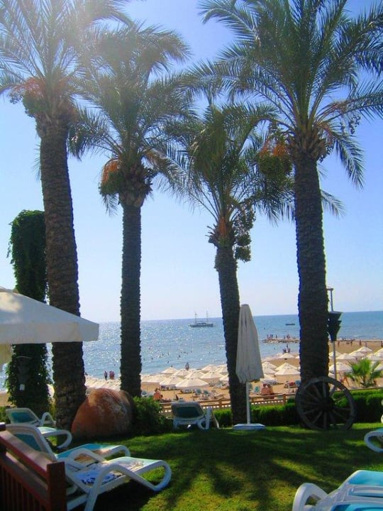 Herrlicher Blick! PALOMA Perissia