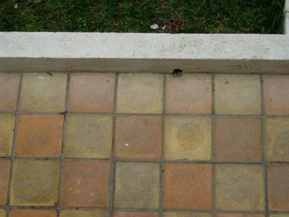 Boden - schmutzig Hotel Nesrine