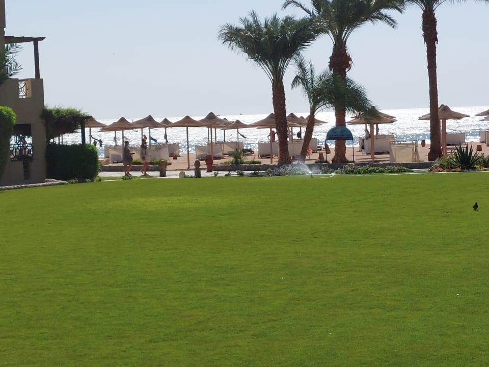 Gartenanlage Shams Safaga Resort