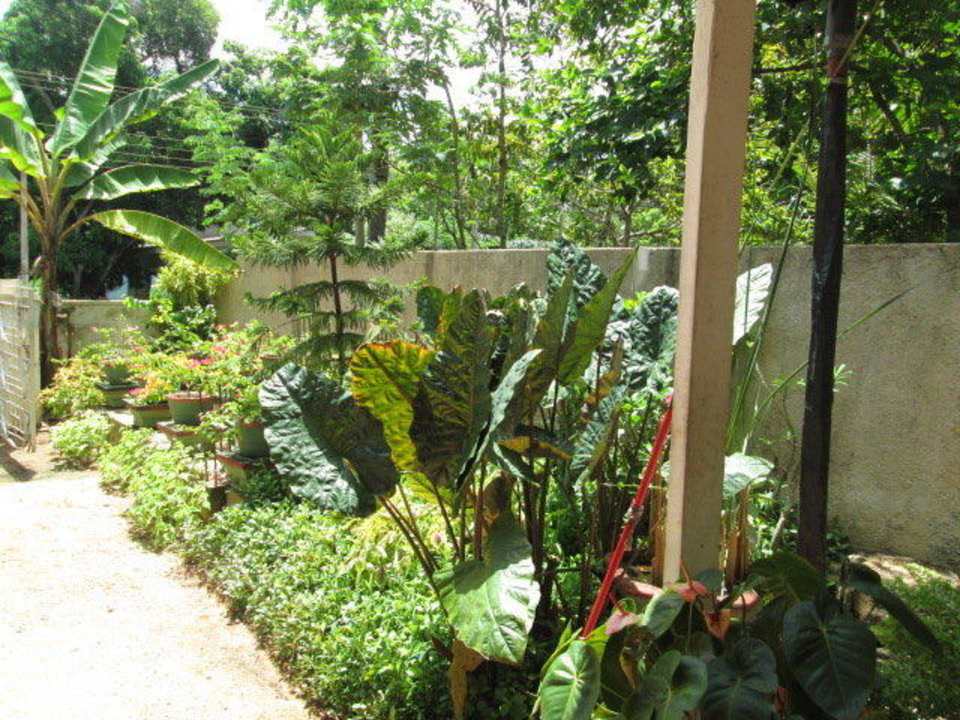 Garden view Travel Lodge Lake View Tourist Resort