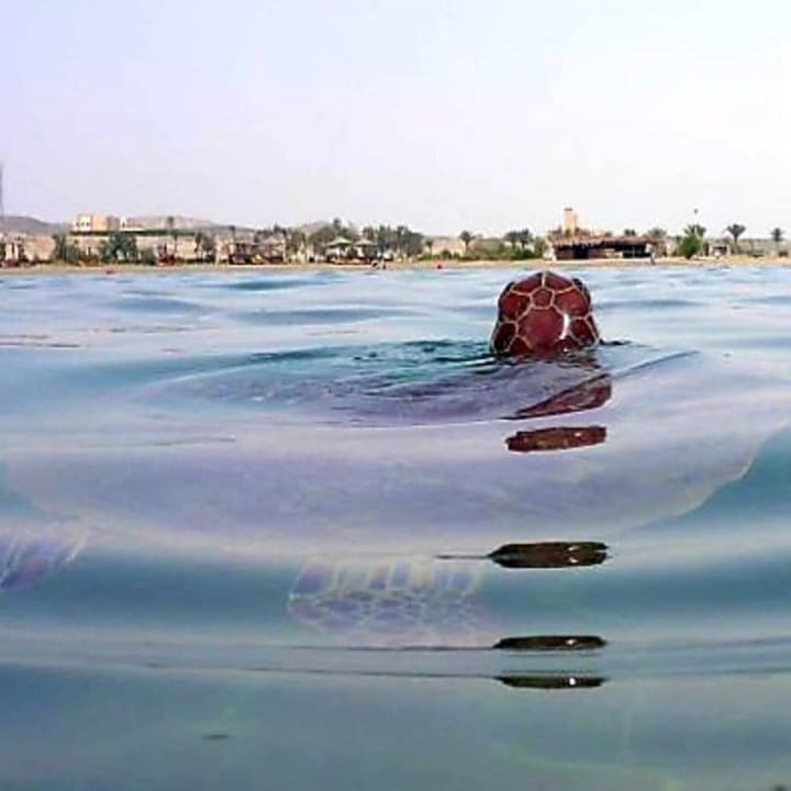 Strand Three Corners Equinox Beach Resort