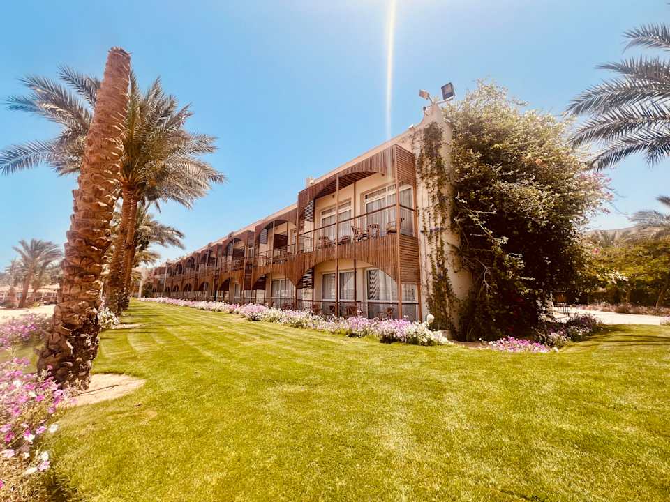 Gartenanlage Desert Rose