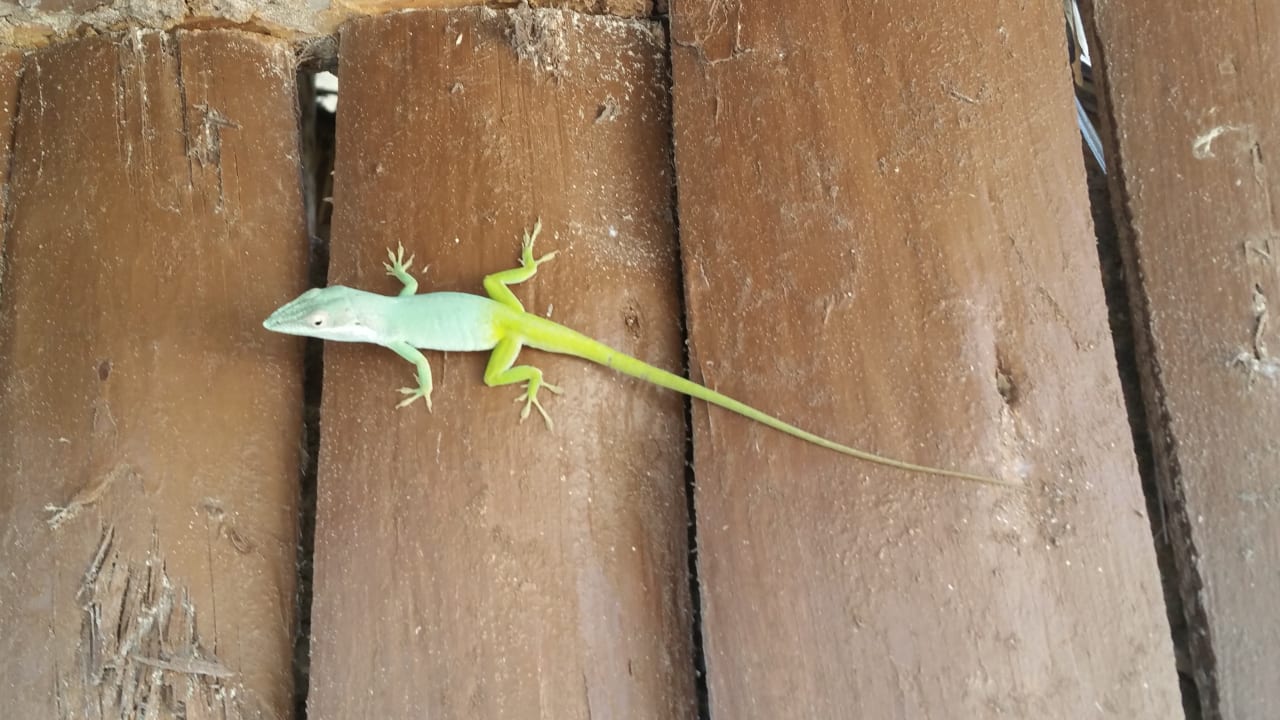 Sonstiges Sol Rio De Luna y Mares