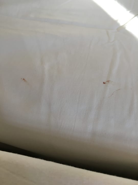 Zimmer Starlight Resort Hotel