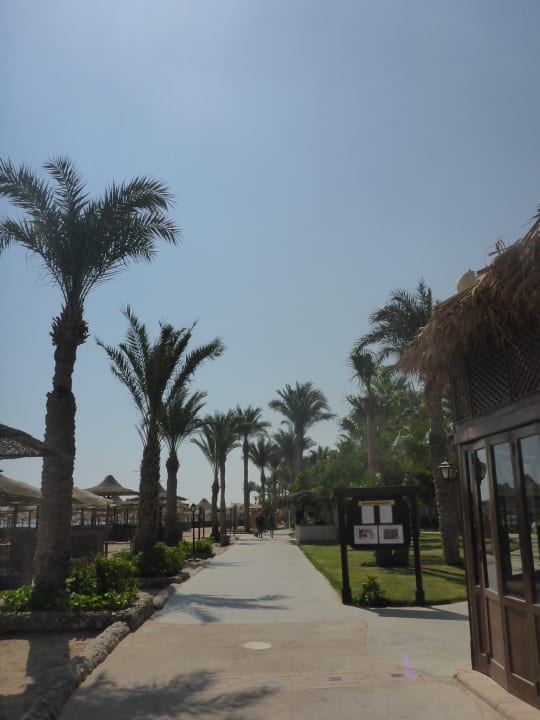 Gartenanlage Jaz Makadi Oasis Resort