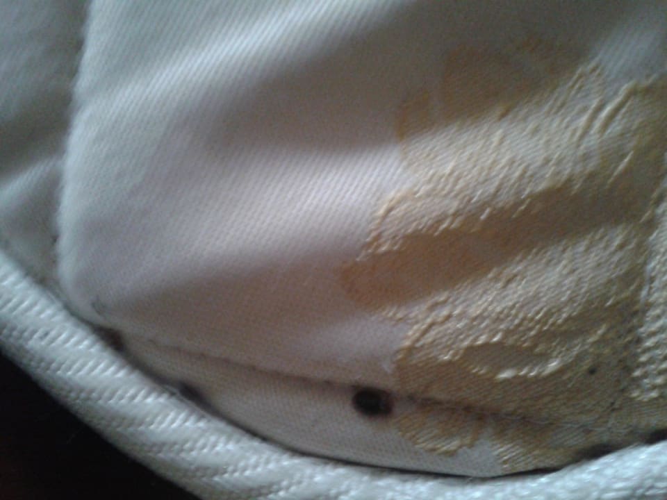 Flöhe/Käfer im Bett Regina Resort and Aqua Park Hurghada