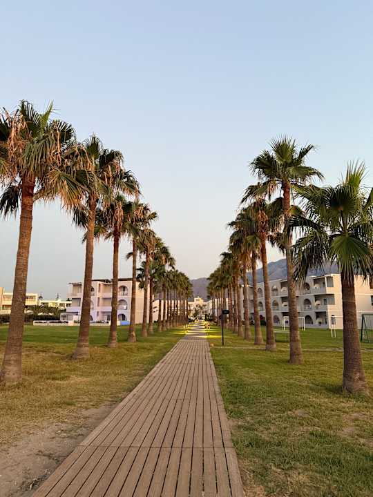 Außenansicht Delfina Tropic Beach