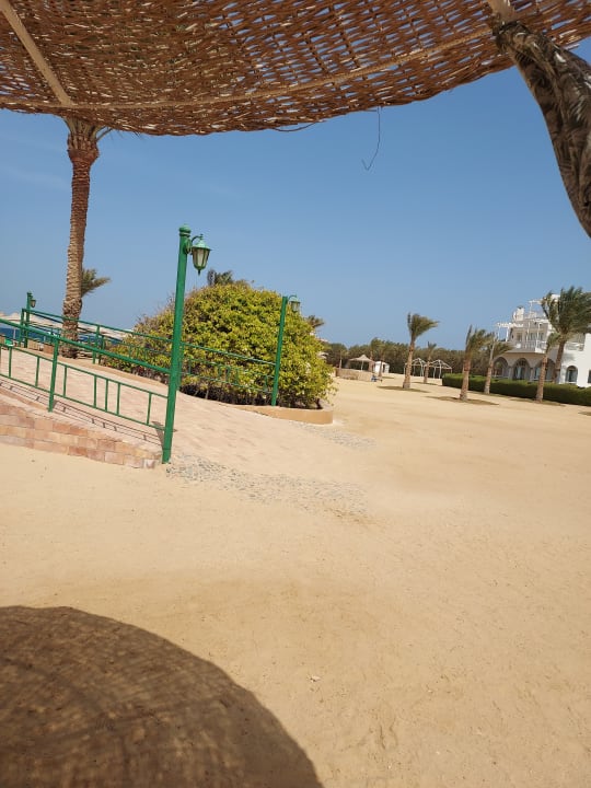 Ausblick Desert Rose