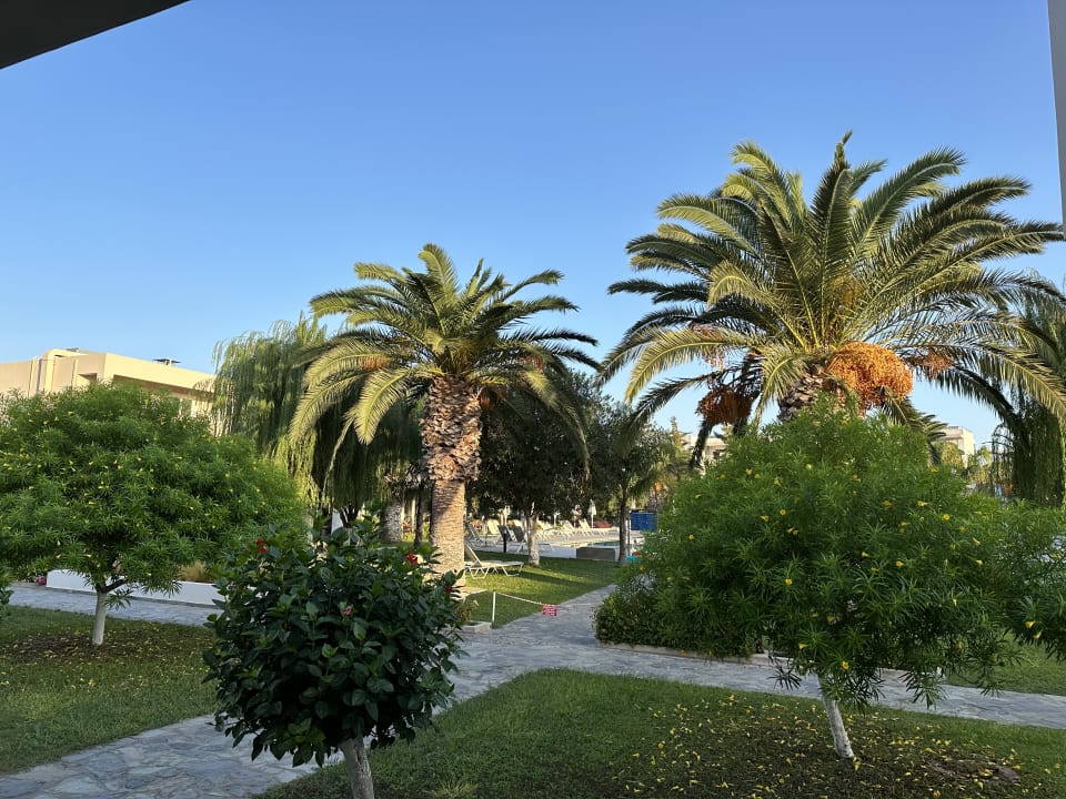 Gartenanlage Hotel Esperia