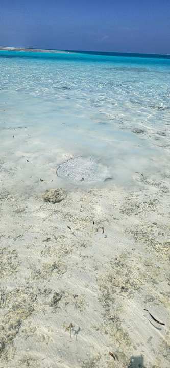 Strand Cinnamon Hakuraa Huraa Maldives