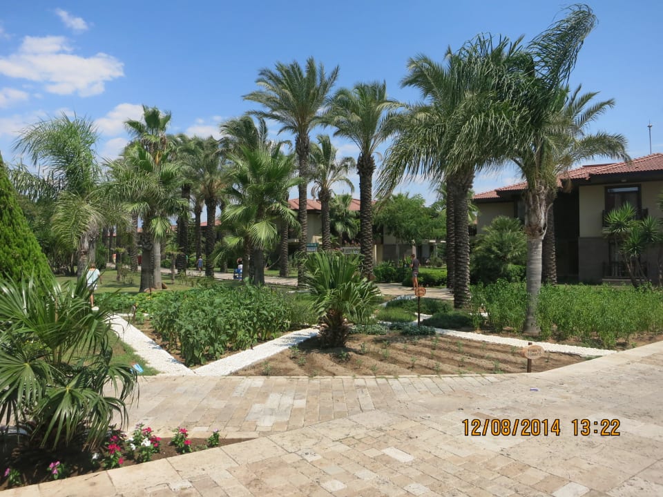 Der Garten TUI BLUE Palm Garden