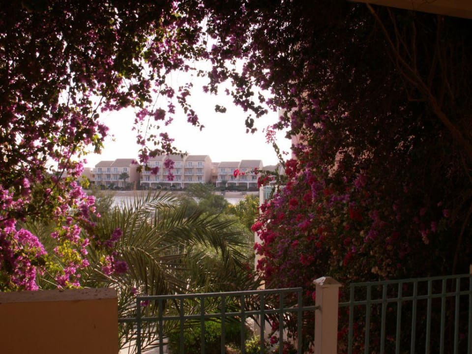Blick Richtung Cluster 7 Mövenpick Resort & Spa El Gouna