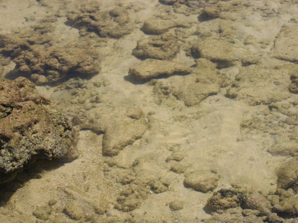 Meerwasser bei Ebbe Thavorn Beach Village Resort & Spa