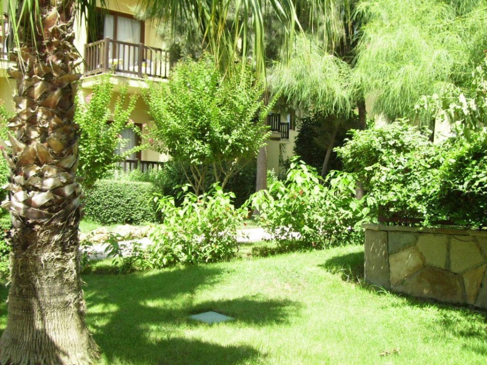 Hotel i ogród Alba Resort Hotel