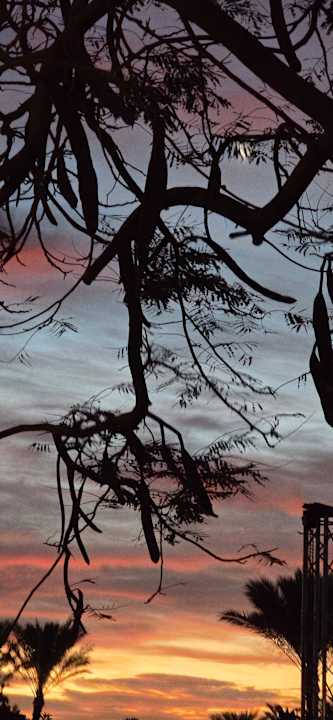 Außenansicht Makadi Spa - Adults only