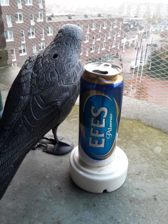 Hoffentlich trinkt er nicht mein Bier  Cityhotel-Restaurant Stadskanaal