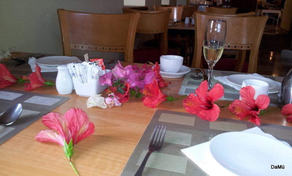 Geburtstagsüberraschung Radisson Blu Resort, El Quseir