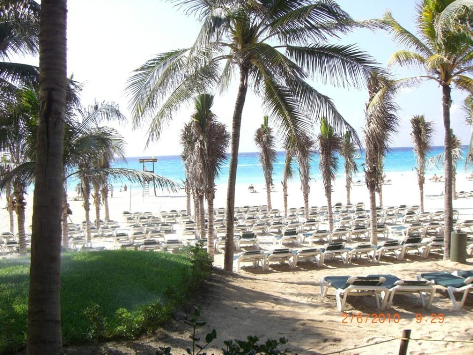 Schöner breiter Sandstrand Hotel Riu Tequila