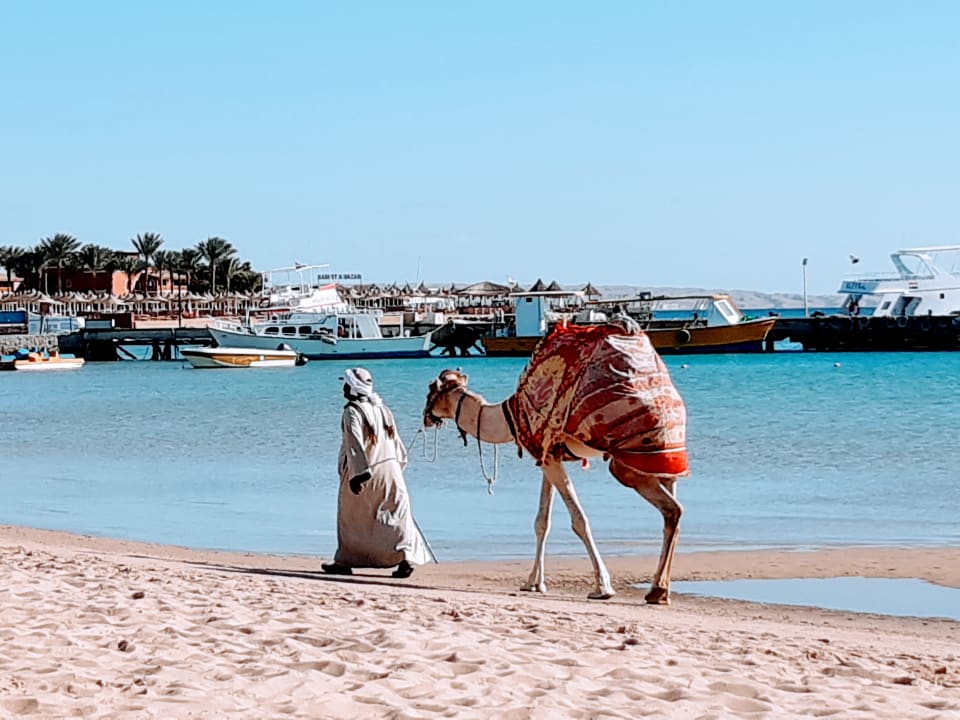 Strand Giftun Azur Resort